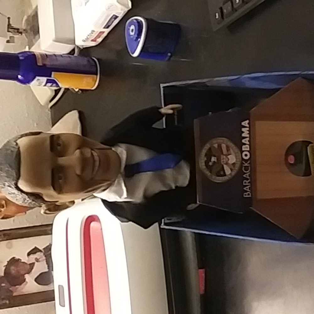 Talking Obama - Picture 2 of 3